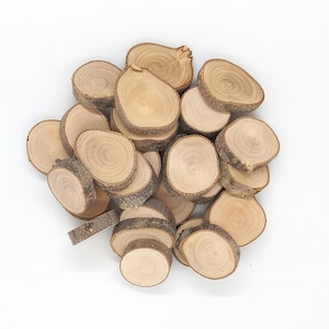 May include: A pile of natural wood slices, each with a unique grain pattern and bark edge. The slices are various sizes and shapes, perfect for crafting or decorating.
