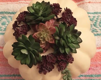 White Pumpkin Succulent Centerpiece