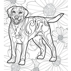 Canidae dogs Coloring Book | Etsy