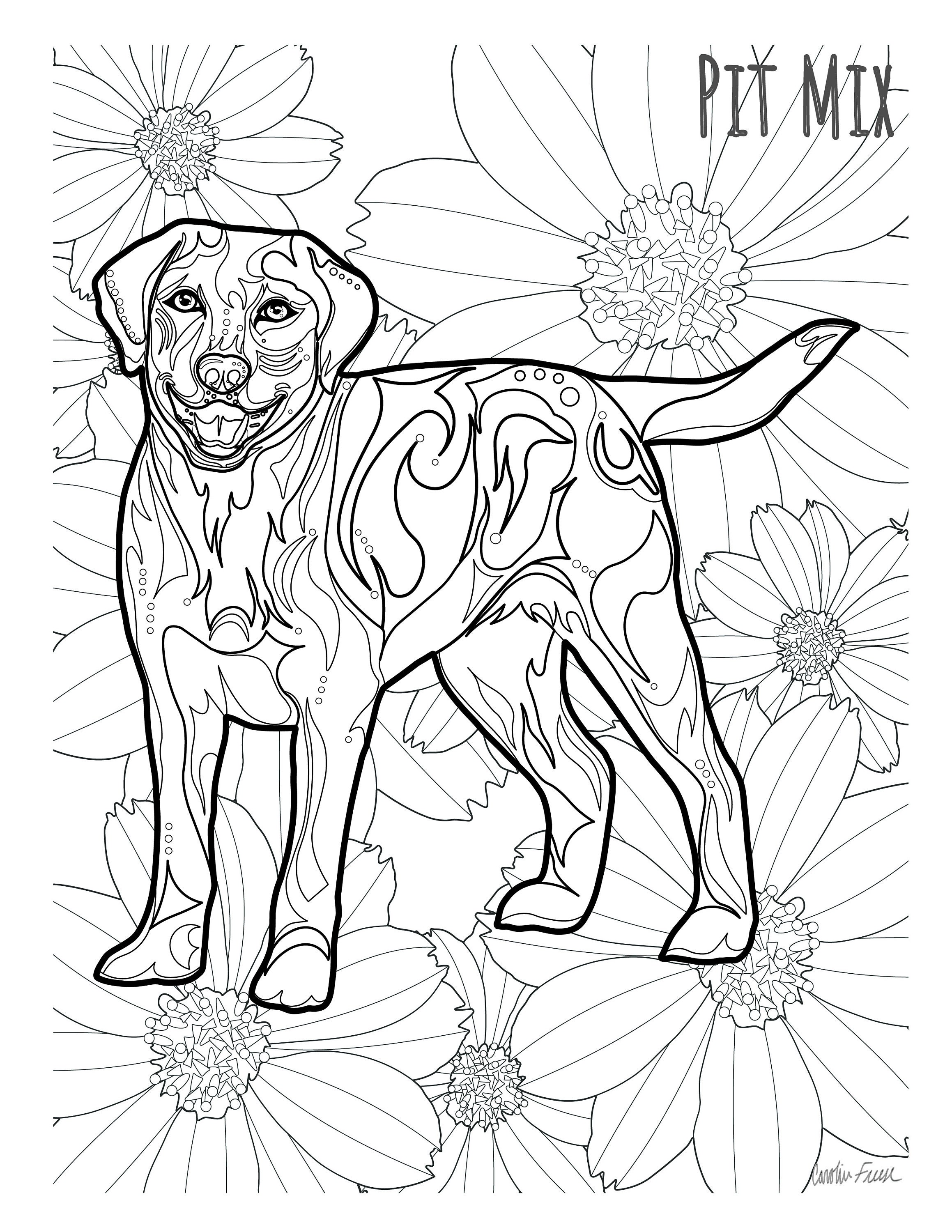 Canidae dogs Coloring Book | Etsy