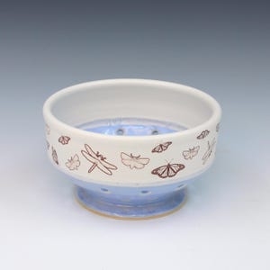 May include: A ceramic bowl with a white rim and a light blue base. The bowl is decorated with brown insect illustrations, including butterflies and dragonflies. The bowl has drainage holes and a footed base.
