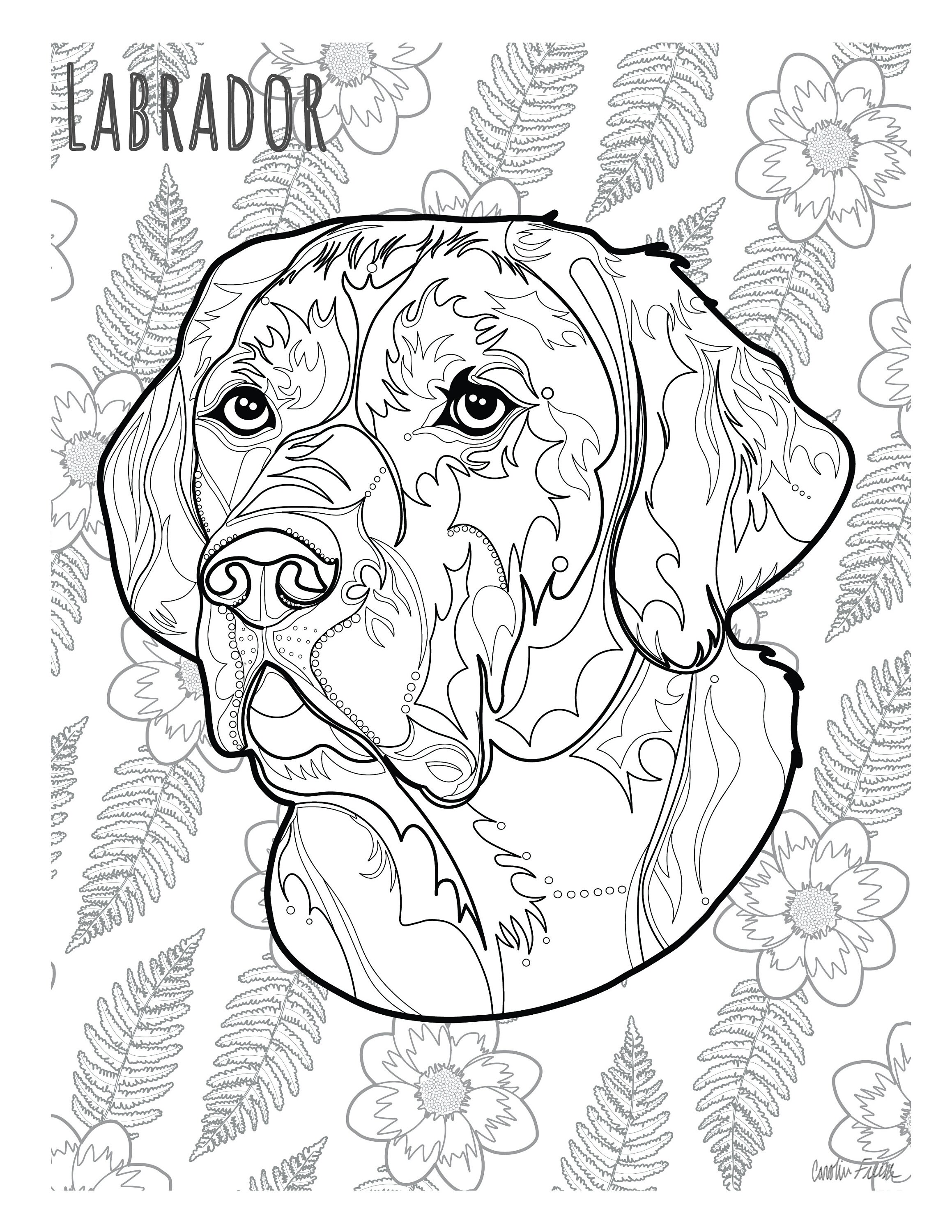Canidae dogs Coloring Book | Etsy