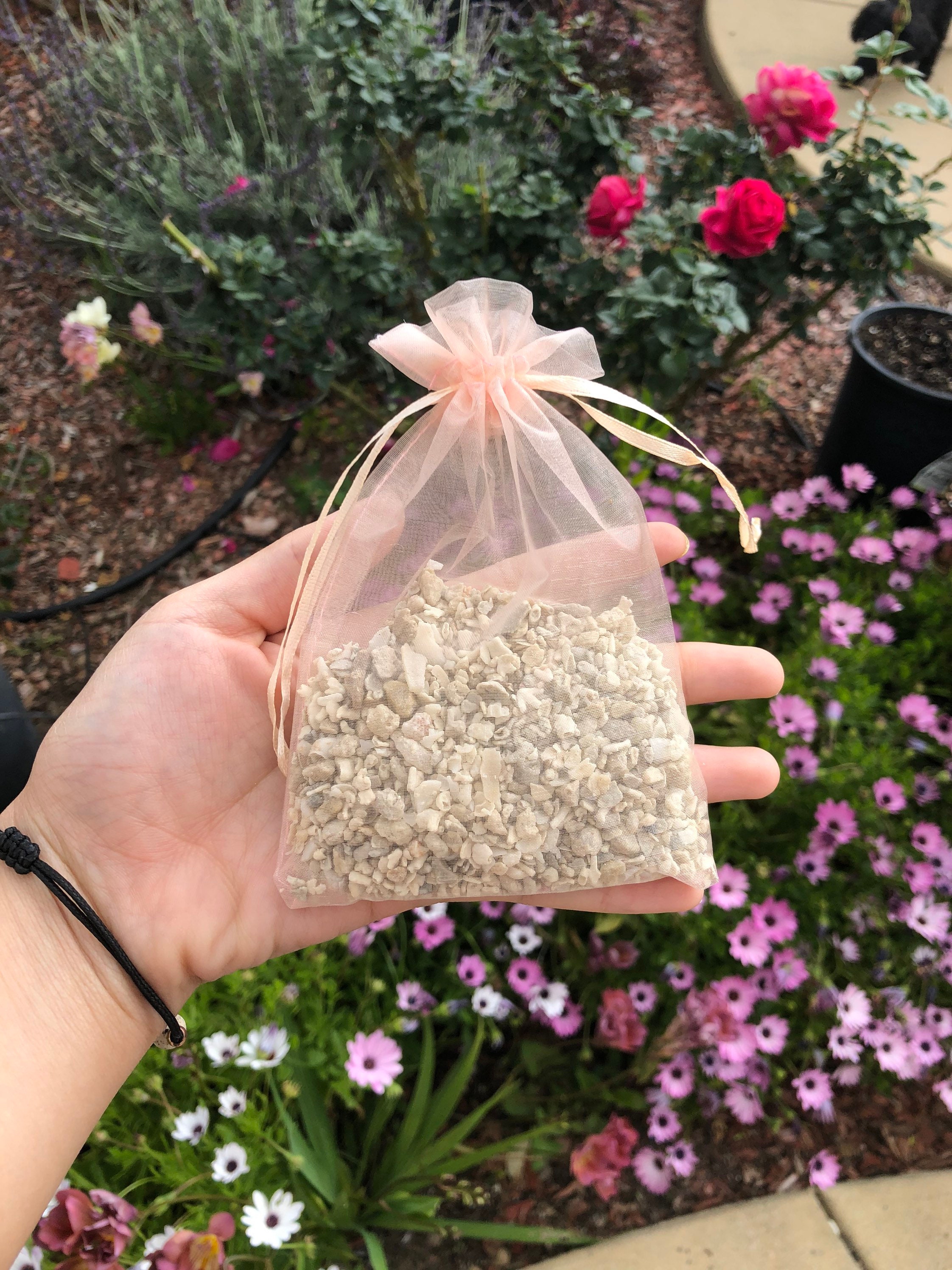 4oz Crushed Coral in a Mesh Bag to Raise Ph in Aquarium Etsy UK