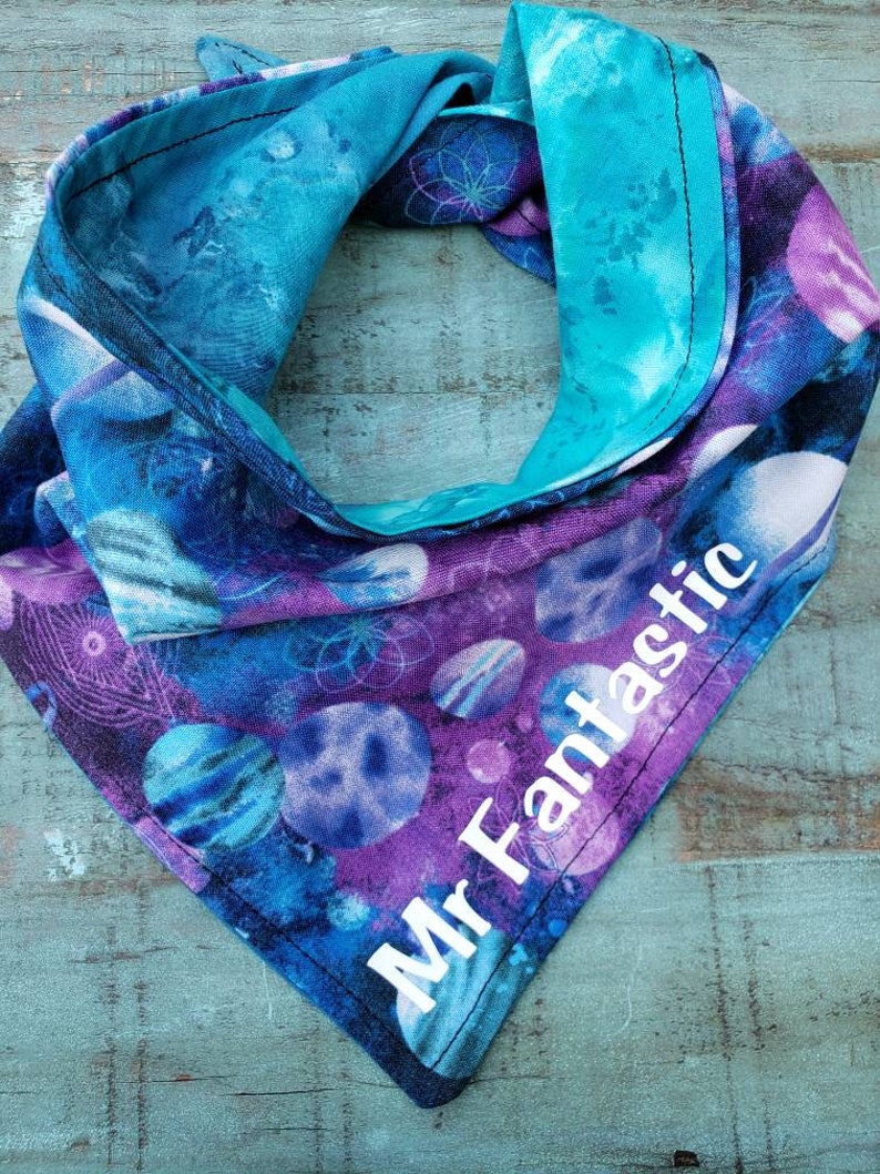 Dood /& Mr Fantastic Double sided funny pet bandana
