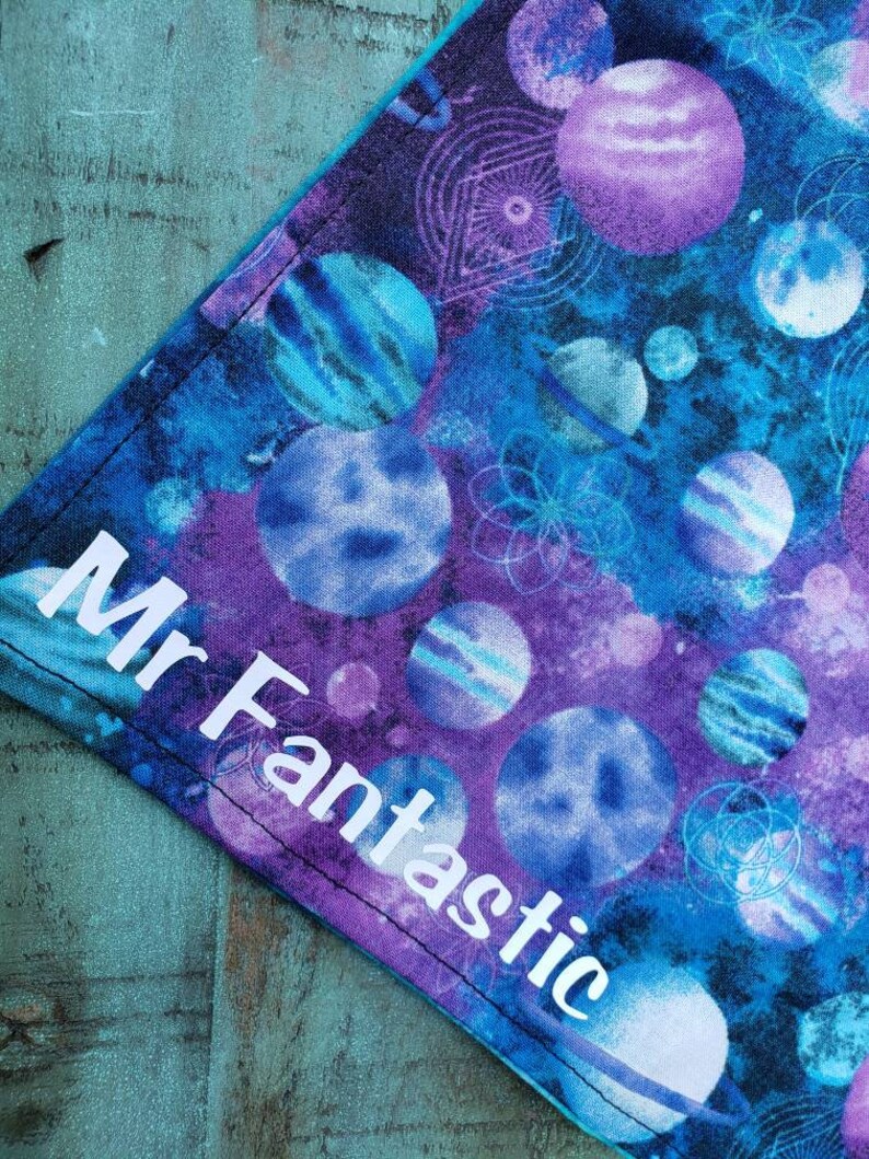 Dood /& Mr Fantastic Double sided funny pet bandana