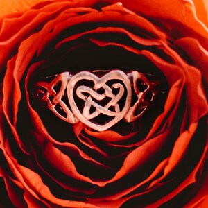 May include: A silver-colored ring with a Celtic knot heart design, set against a backdrop of a deep red rose. The ring's intricate details are highlighted, showcasing the delicate openwork pattern.