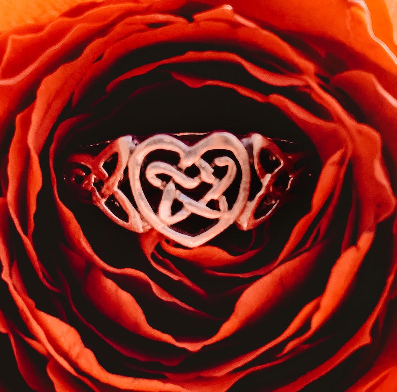 May include: A silver-colored ring with a Celtic knot heart design, set against a backdrop of a deep red rose. The ring's intricate details are highlighted, showcasing the delicate openwork pattern.
