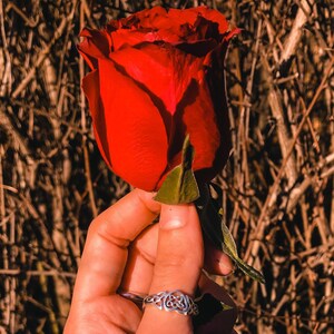 May include: A vibrant red rose with green leaves is held in a hand, showcasing its velvety petals. A silver ring with an intricate Celtic knot design adorns the finger. The background features a blurred, natural setting.