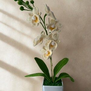 May include: A handcrafted crochet orchid plant in a square, light blue pot. The off-white flowers have yellow centers, and the green leaves and buds add contrast. The plant is a decorative item.
