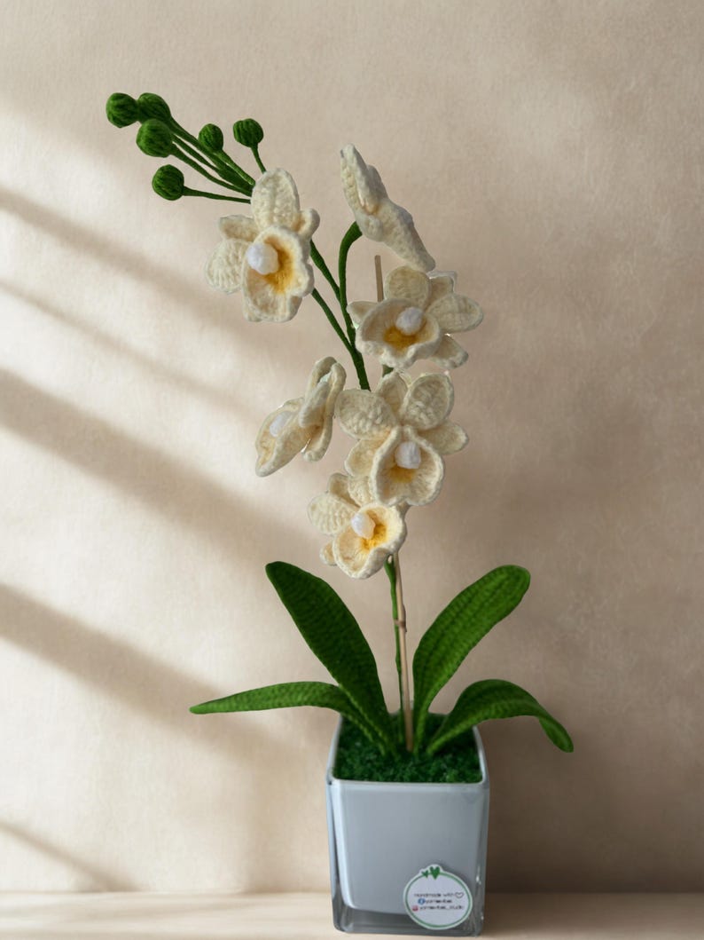 May include: A handcrafted crochet orchid plant in a square, light blue pot. The off-white flowers have yellow centers, and the green leaves and buds add contrast. The plant is a decorative item.
