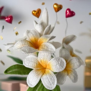 Modello all'uncinetto per fiori tropicali di Plumeria (Frangipani), tutorial per fiori all'uncinetto realistici - Modello all'uncinetto per principianti - Download PDF immediato