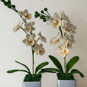 May include: Two crochet orchid plants in square gray pots. The orchids have cream-colored petals with yellow centers, green stems, and green leaves. The pots sit on a white surface.