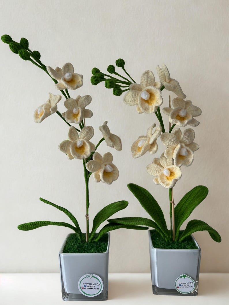 May include: Two crochet orchid plants in square gray pots. The orchids have cream-colored petals with yellow centers, green stems, and green leaves. The pots sit on a white surface.