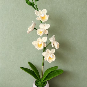 Realistic Crochet Moth Orchid Pattern: Easy DIY Flower (PDF Download)