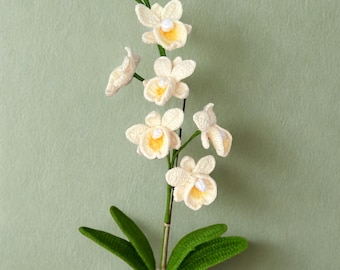 Realistic Crochet Moth Orchid Pattern: Easy DIY Flower (PDF Download)