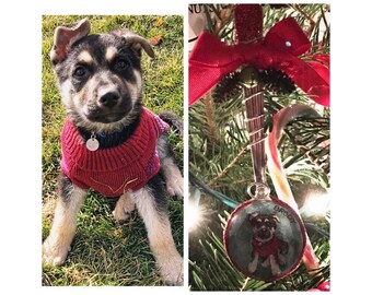 Hand Painted Custom Pet Ornament