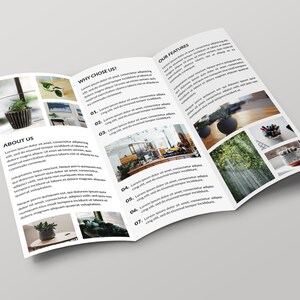 May include: A tri-fold brochure featuring images of plants and text about the company. The brochure is titled "About Us", "Why Choose Us?" and "Our Features".