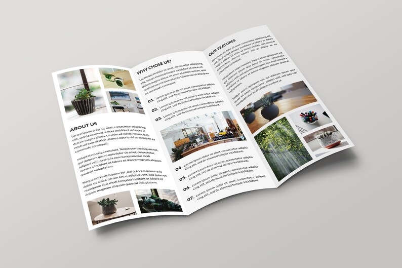 May include: A tri-fold brochure featuring images of plants and text about the company. The brochure is titled "About Us", "Why Choose Us?" and "Our Features".