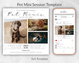 May include: A white and gray 5x5 template for a pet photography mini session. The template features a photo of a dog, a photo of a person holding a dog, and a photo of a dog in a field. The template also includes the text "Pet Minis", "August 24th - 28th", "60 Minute Sessions", "Digital Images", "Only $150", "Online Gallery", "Print Release", "Booking Now!" and contact information.
