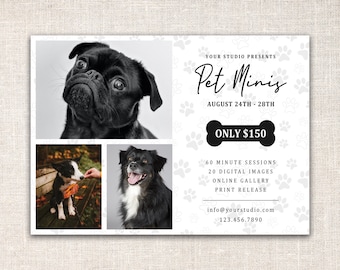 May include: A flyer advertising a pet photography mini session. The flyer features three photos of dogs, a black pug, a black and white border collie, and a black and white terrier mix. The flyer includes the text "Your Studio Presents Pet Minis August 24th - 28th Only $150 60 Minute Sessions 20 Digital Images Online Gallery Print Release info@yourstudio.com 123.456.7890"
