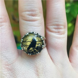 Sterling Silver raven/crow ring glass stone or 14mm handmade by Old Hippie Dave 925 sterling silver
