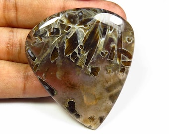 Fansi Shape Loose Natural Stick Agate Cabochon 18 Cts #8208N Pseudomorph Agate gemstone.AAA Designer~ Natural Pseudomorph Agate Cabochon