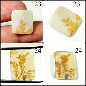 May include: Four rectangular dendritic agate cabochons featuring translucent off-white bases with intricate, fern-like golden-brown inclusions. Two stones are labeled 23 and two are labeled 24, showcasing natural branching patterns within the smooth, polished surfaces.