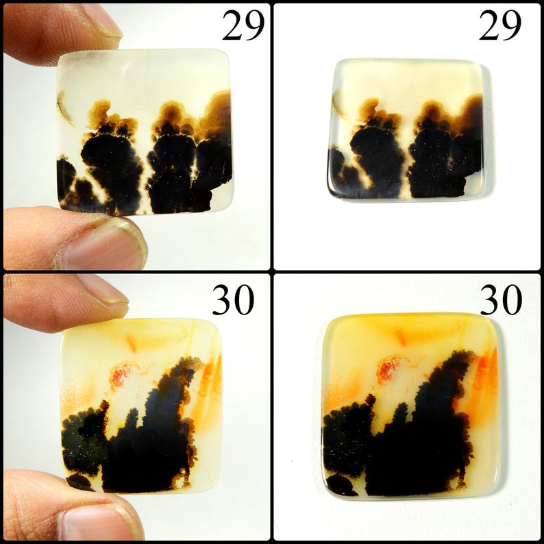 May include: Two square-shaped cabochons with rounded corners. Item 29 is a translucent off-white stone with dark brown dendritic inclusions. Item 30 is a translucent yellow stone with dark brown dendritic inclusions and orange-red patches.