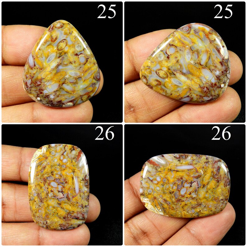 May include: A collection of four polished cabochon gemstones featuring a complex pattern of yellow, white, and reddish-brown inclusions. The stones are displayed in two distinct shapes, labelled 25 and 26, showcasing a smooth, glossy surface.
