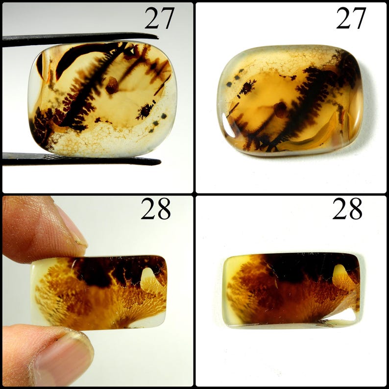 Shazar Dendrite Gemstone. Natural Scenic Agate Cabochon Loose For Wire Wrapping Stones image 8