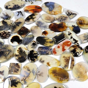 Schilderachtige dendritische edelsteen. Unieke ~ Shazar Stone groothandel bulkpartij. Shazar dendrietagaat cabochon. Natuurlijke Shazar-edelsteen: 1 tot 50 stuks