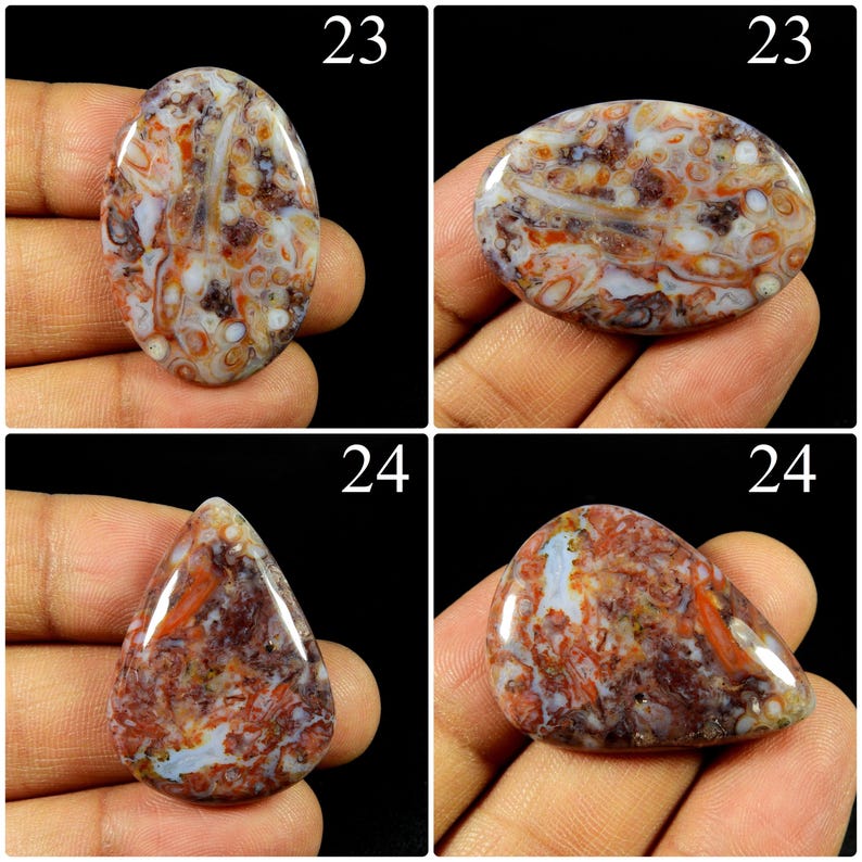 May include: Four polished cabochons of multicoloured agate gemstone. Two oval-shaped stones labelled 23 and two teardrop-shaped stones labelled 24. The stones feature intricate patterns of white, orange, brown, and translucent grey swirls and inclusions.