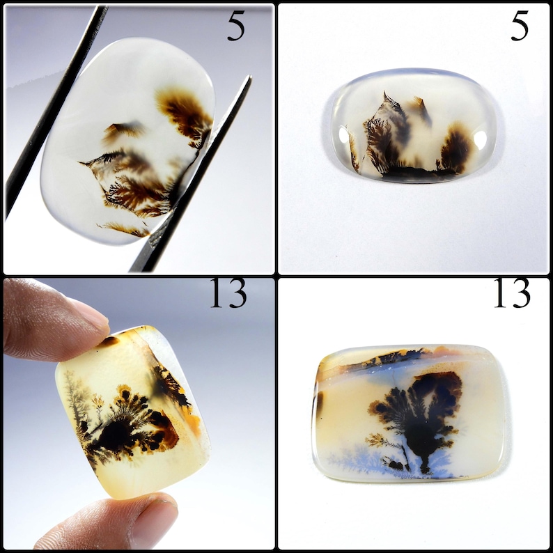 May include: Four views of polished dendritic agate gemstones featuring translucent white and cream bases with dark brown, tree-like fern inclusions. The stones are oval and rectangular in shape, displaying natural branching patterns throughout the surfaces.