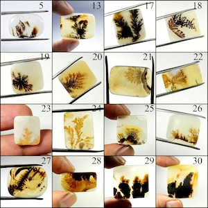 Shazar Dendrite Gemstone. Natural Scenic Agate Cabochon Loose For Wire Wrapping Stones image 1