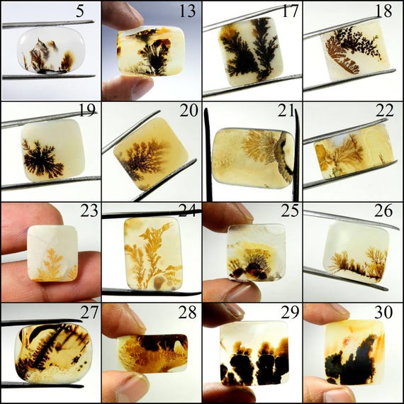 Shazar Dendrite Gemstone. Natural Scenic Agate Cabochon Loose For Wire Wrapping Stones