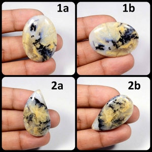 Gele dendriet-agaat. Tijger dendrietagaat cabochon. Natuurlijke tijger dendriet-agaat edelsteen. Groothandel dendriet voor sieraden. Variatie TG-D