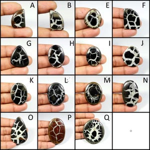 Natural Septarian Gemstone. Septarian Cabochon. AMAZING~ Spider Web Septarian. Mixed Shape Septarian Loose For Jewelry.
