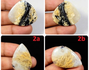 Tiger Dendrit Achat Cabochon. Natürlicher Tiger Dendrit Achat Edelstein. Gelber Dendrit-Achat. Dendrit für Schmuck. Variation TG-B
