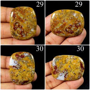 May include: Two polished, rectangular cabochons labelled 29 and 30, featuring a complex pattern of mustard yellow, deep red, and translucent white inclusions. The stones exhibit a smooth, glossy surface with organic, swirling textures throughout.