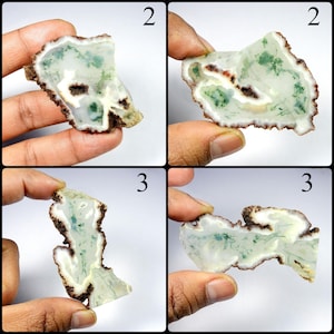 May include: Four images of polished gemstone slices. Each slice has a light green and white interior with dark brown edges. The gemstones are held by a person's hand. The numbers 2 and 3 are in the top right corner of each image.