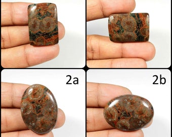 MASSIVE~ Brown Peanut. Natural Peanut Obsidian Cabochon. Peanut Obsidian Gemstone. Mix Shape Peanut Obsidian For jewelry. Variation