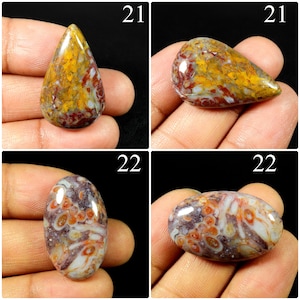 May include: Four polished cabochon gemstones labelled 21 and 22. The top two are teardrop-shaped with yellow, red, and white patterns. The bottom two are oval-shaped with a white, brown, and orange circular pattern resembling fossilised coral.