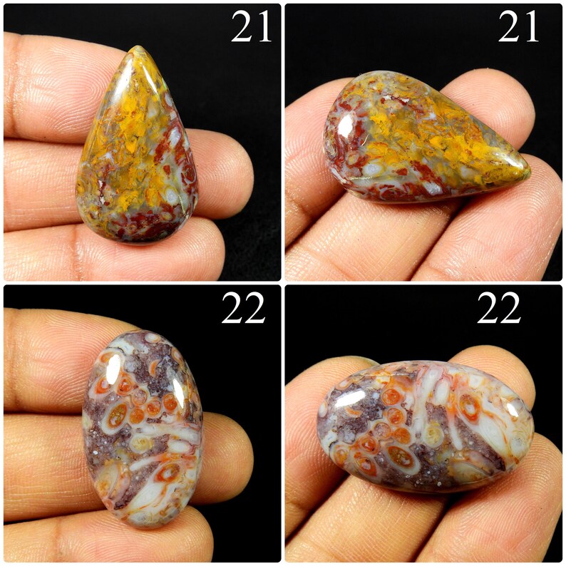 May include: Four polished cabochon gemstones labelled 21 and 22. The top two are teardrop-shaped with yellow, red, and white patterns. The bottom two are oval-shaped with a white, brown, and orange circular pattern resembling fossilised coral.