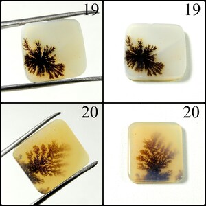 Shazar Dendrite Gemstone. Natural Scenic Agate Cabochon Loose For Wire Wrapping Stones image 4