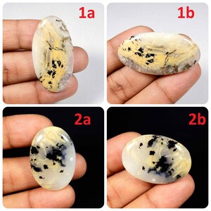 Natuurlijke tijger dendriet-agaat edelsteen. Tijger dendrietagaat cabochon. Gele dendriet-agaat. Groothandel dendriet voor sieraden. Variatie TG-C