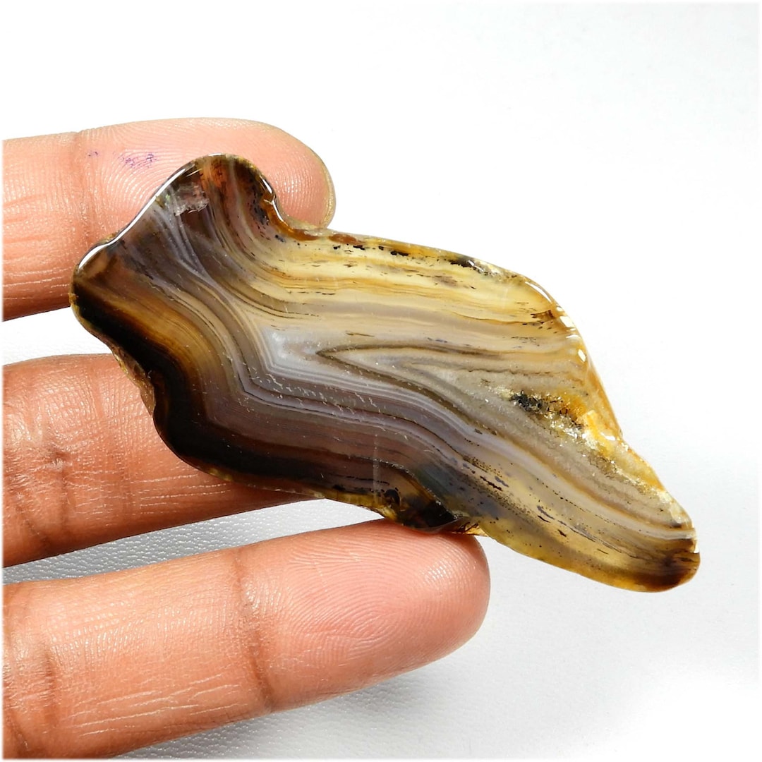 Rarest Montana Agate Slice. Natural Montana Cabochon. Yellow Etsy