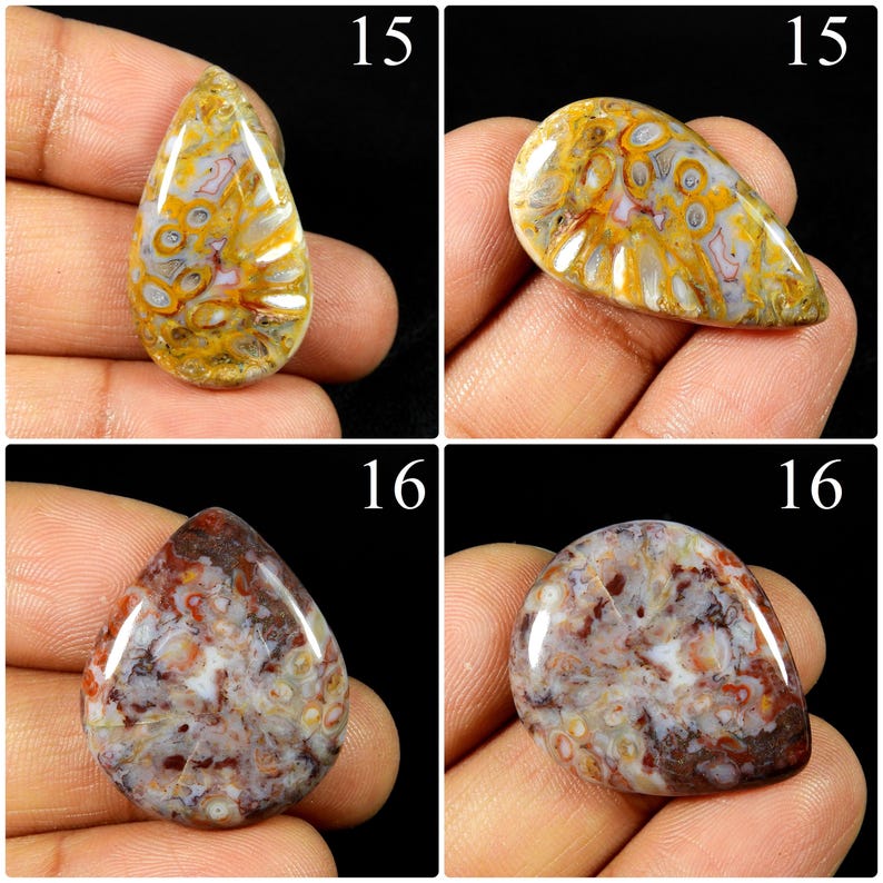 May include: Four polished cabochon gemstones arranged in a grid. The top two stones, labelled 15, feature yellow, white, and grey orbicular patterns. The bottom two stones, labelled 16, display deep red, brown, and white mottled patterns.