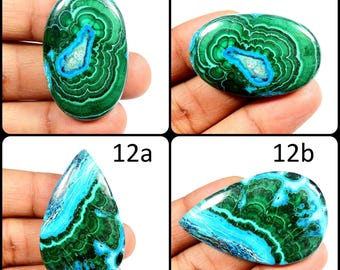 Cabochon Ovale Malachite Chrysocolle 81,52 Carats - Naturel, Non Traité - Neuf Sans Emballage