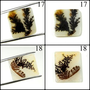 May include: Two square dendritic agate cabochons labeled 17 and 18. Item 17 features a white base with dark brown fern-like inclusions. Item 18 displays a white base with intricate, branching dark brown and black patterns resembling mossy growth.