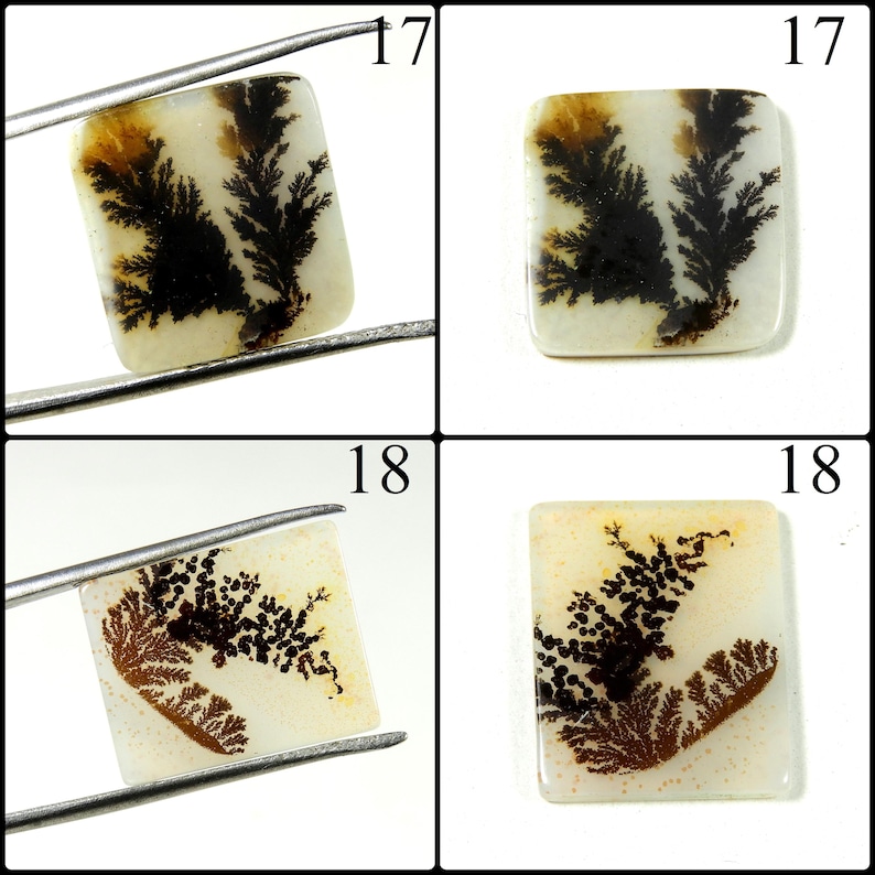 May include: Two square dendritic agate cabochons labeled 17 and 18. Item 17 features a white base with dark brown fern-like inclusions. Item 18 displays a white base with intricate, branching dark brown and black patterns resembling mossy growth.